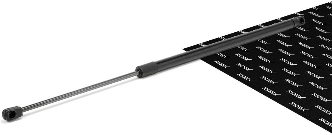 RIDEX 219G0179 Tailgate strut