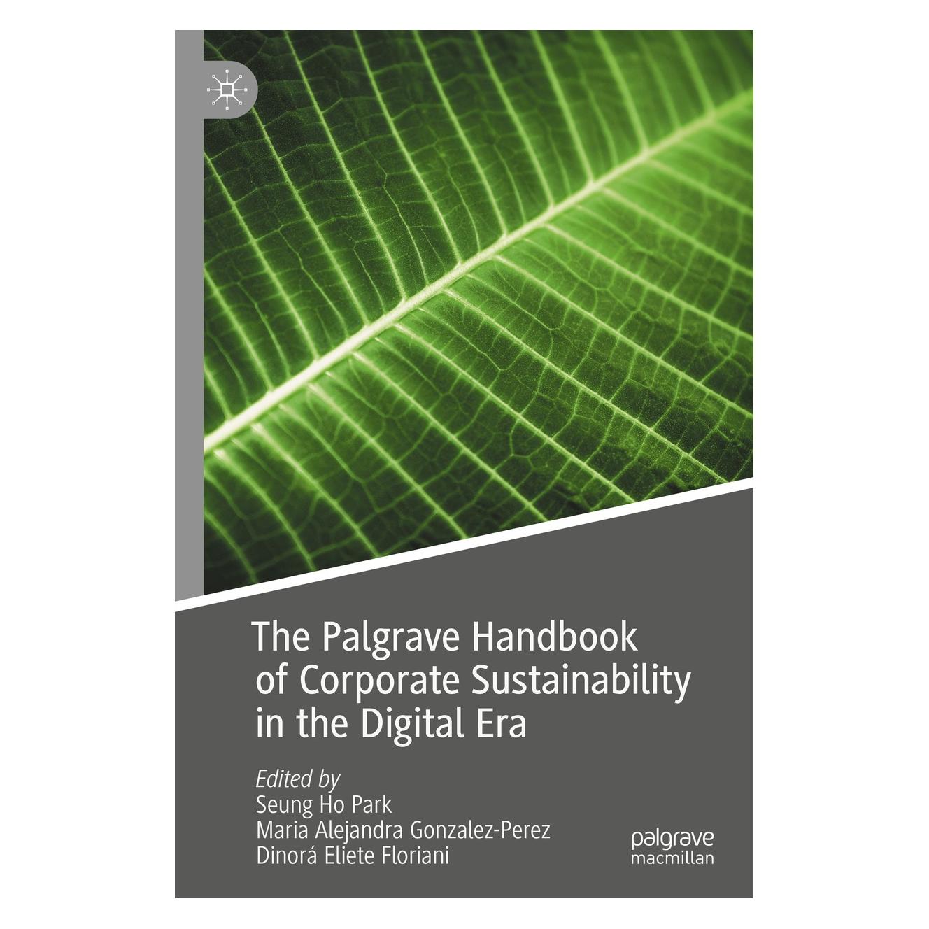 Springer The Palgrave Handbook of Corporate Sustainability in the Digital Era (Englisch, Hardcover, Dinorá Eliete Floriani, Maria Alejandra Gonzalez-Perez, Seung Ho Park) (9783030424114)