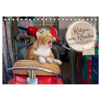 Katzen von Rhodos - Kleine Götter auf vier Pfoten (Tischkalender 2026 DIN A5 quer), CALVENDO Monatskalender