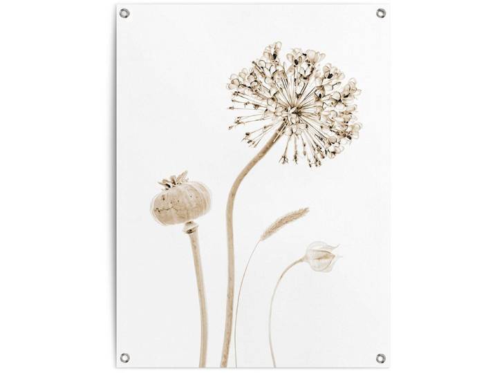 Tuinposter Droogbloemen - 80 x 60 - Canvas - REINDERS