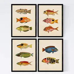 POSTER Set mit 4 Inder 11 verschiedenen Fischen A3 Schwarzer Rahmen