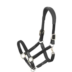 Lederhalfter RS Braidy anatomisch