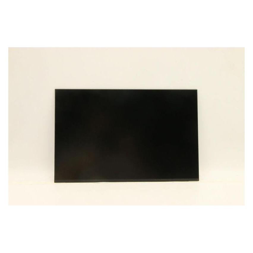 Lenovo FRU of SD11A22490 IVO 13.3 (5D11A22505)