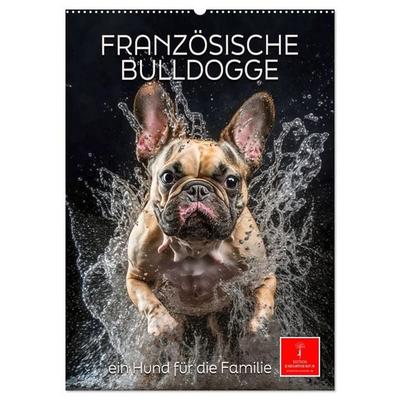 Französische Bulldogge - ein Hund für die Familie (Wandkalender 2026 DIN A2 hoch), CALVENDO Monatskalender