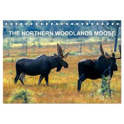 THE NORTHERN WOODLANDS MOOSE (Desk Calendar 2027 DIN A5 landscape), CALVENDO 12 Month DeskCalendar