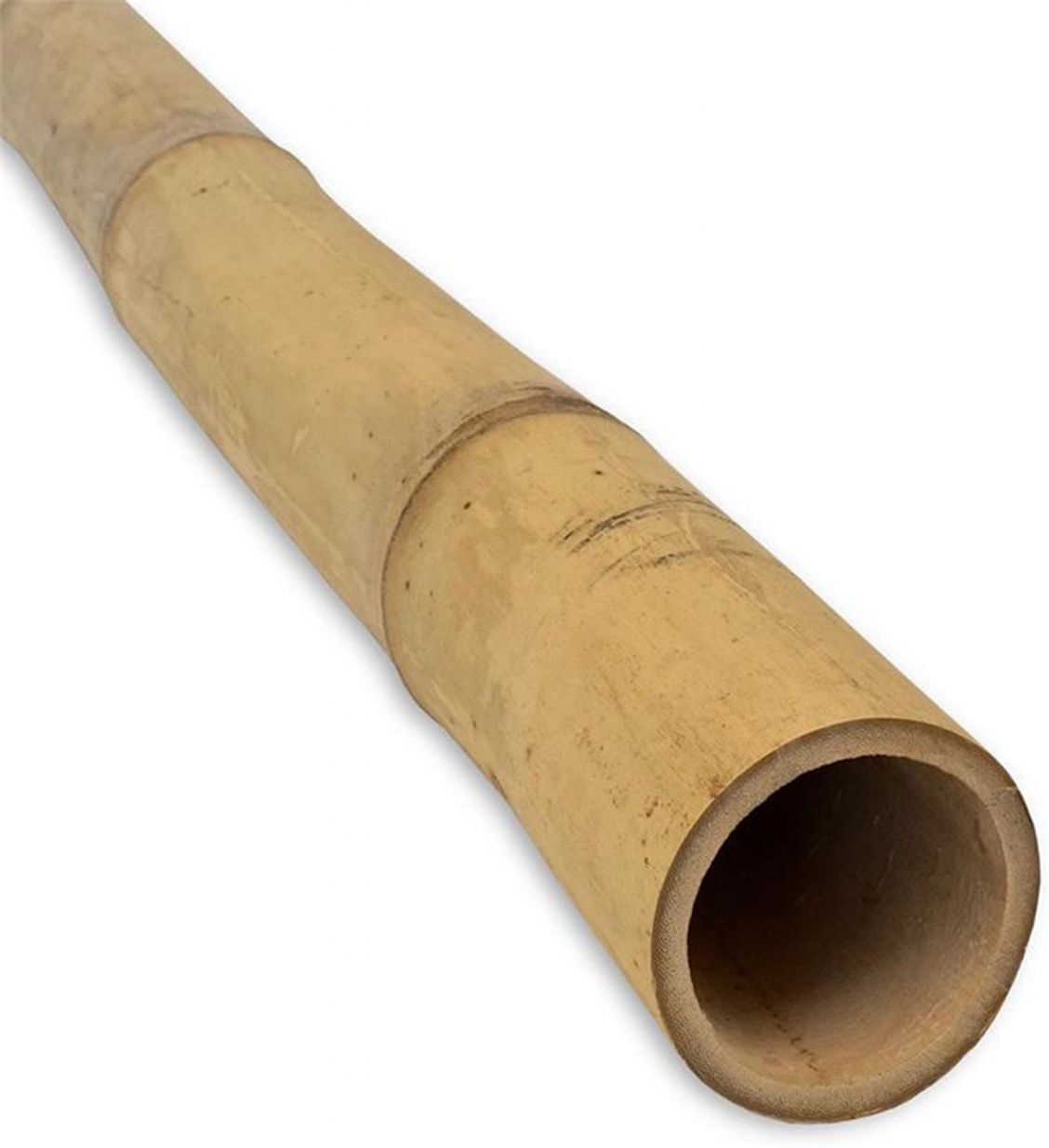 Weitere Pflanzstab Bambus 180 cm Ø 12/14 mm