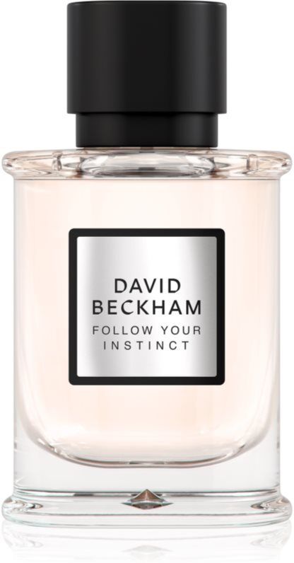 David Beckham Follow Your Instinct EDP M 50 ml