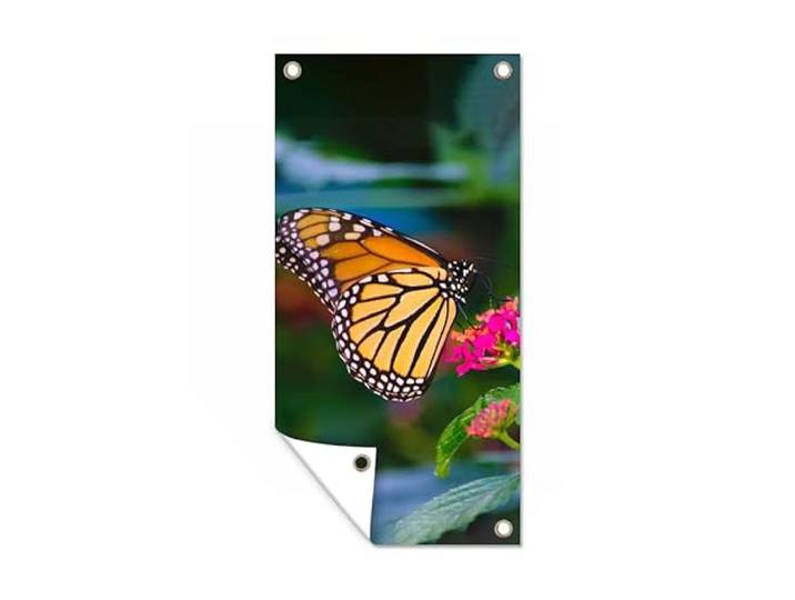 Tuinposter - 80x160 cm - Vlinders - Bloem - Natuur