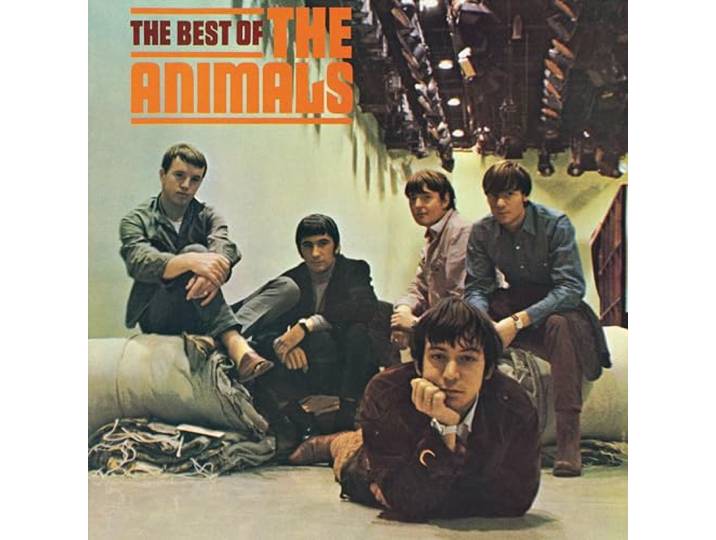 Best of Animals