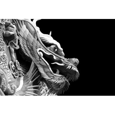 Fototapete PAPERMOON "Chinesischer Drache Schwarz & Weiß", schwarz (schwarz, weiß), B:2,5m L:1,86m, Vlies, Tapeten
