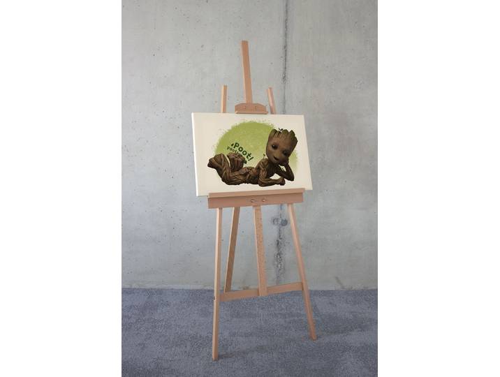 Image Groot Poot 60 x 40 x 2cm Multicolore