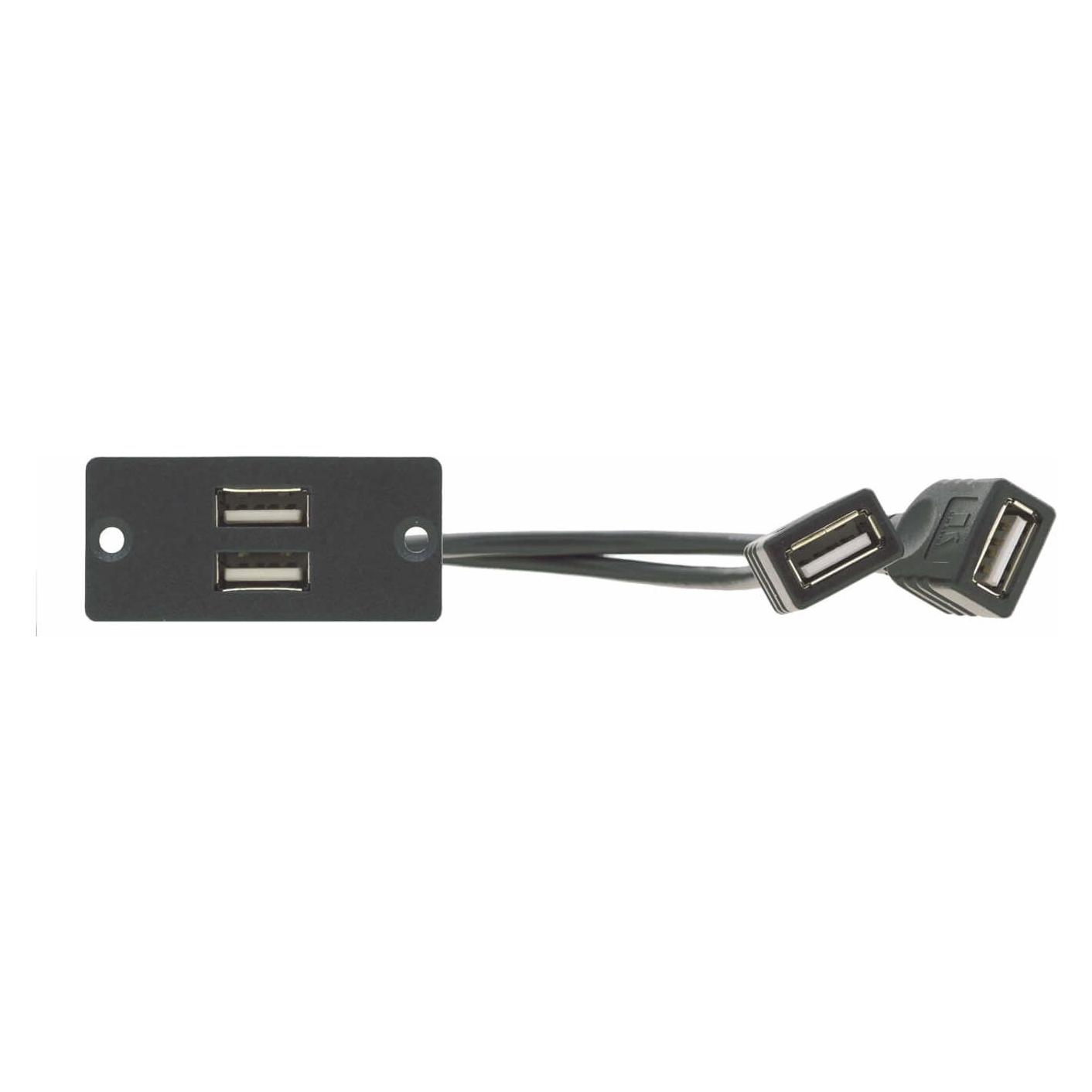 Kramer WU-2AA - Wandtellereinsatz - USB X 2 (80-021199)