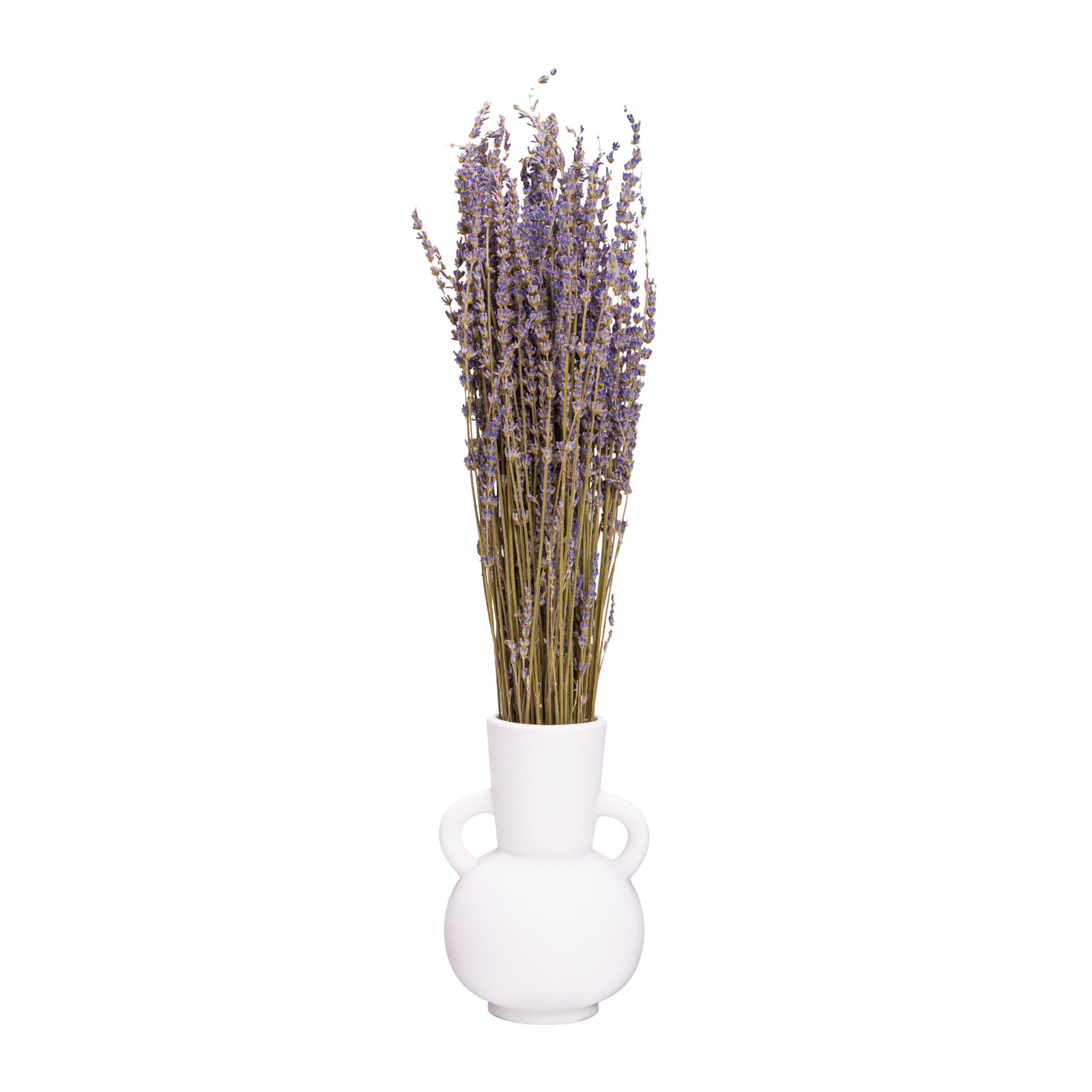 QUVIO Decoratieve keramische vaas met handvatten - Wit