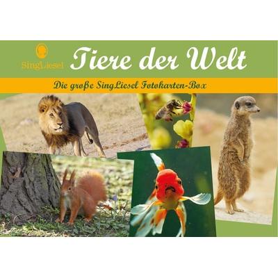 Tiere der Welt - Fotokarten für Senioren