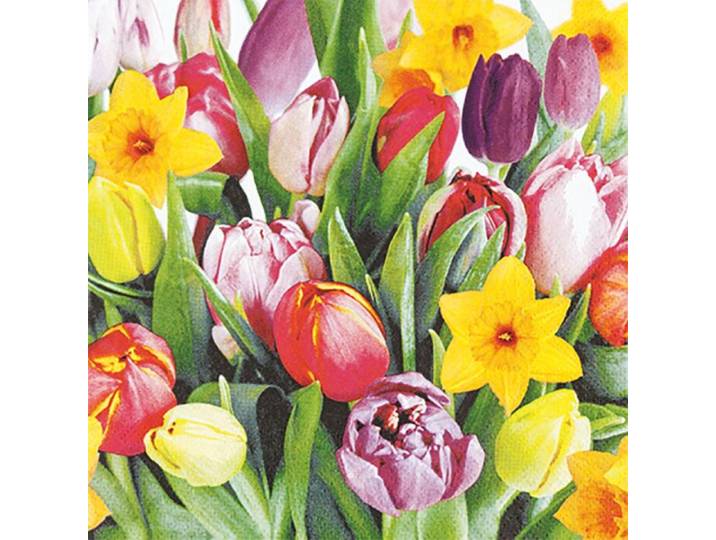 Servietten Bouquet of Tulips