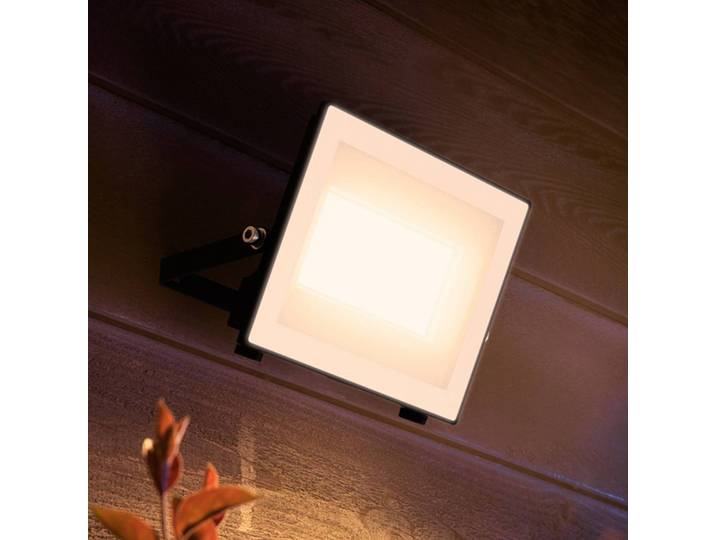 Philips LED-Außenstrahler Lois UE flood, 24 W, 3.000 K, IP65 flood, schwarz, Aluminium, LED Außenleuchte