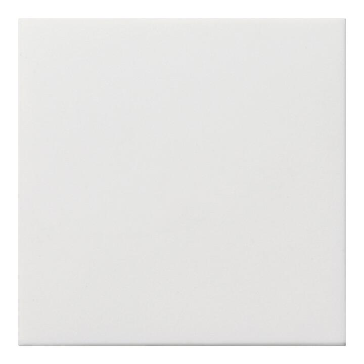 Gira Blindabdeckung rws-gl 0268112)