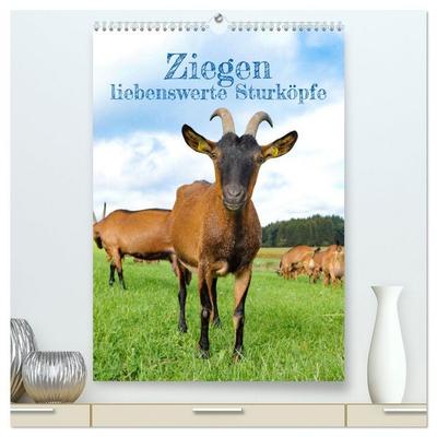 Ziegen - liebenswerte Sturköpfe (hochwertiger Premium Wandkalender 2026 DIN A2 hoch), Kunstdruck in Hochglanz