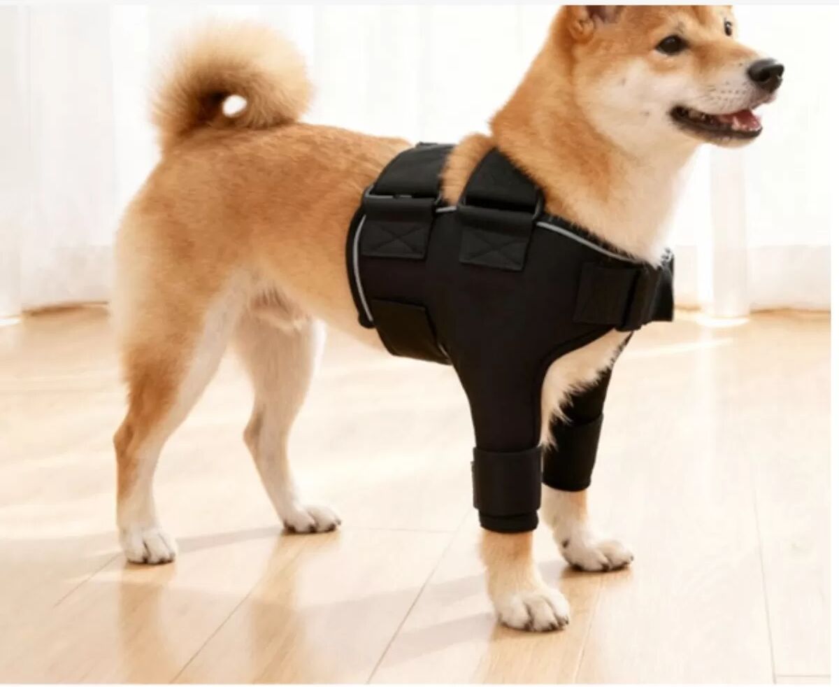 INF Hunde Schulterstütze - Gelenkschutz & Wärmewickel für Vorderbeine L