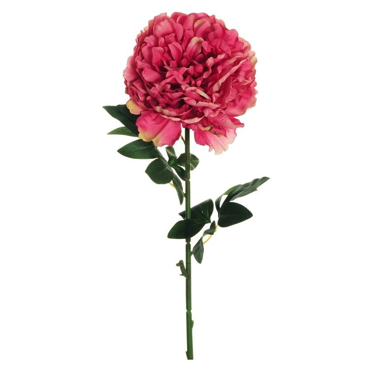 zz_archiviert_Nenurodyta Kunstblume, Pfingstrose, rosa, 82 cm (82 cm) (77170850)