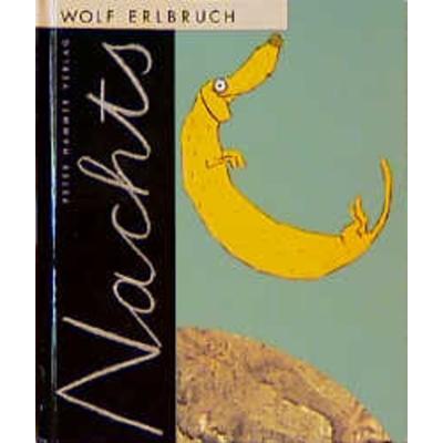 Nachts, Gebundene Ausgabe von Wolf Erlbruch, Peter Hammer Verlag, 978-3-87294-834-2