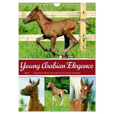 Young Arabian Elegance (Wall Calendar 2027 DIN A4 portrait), CALVENDO 12 Month Wall Calendar