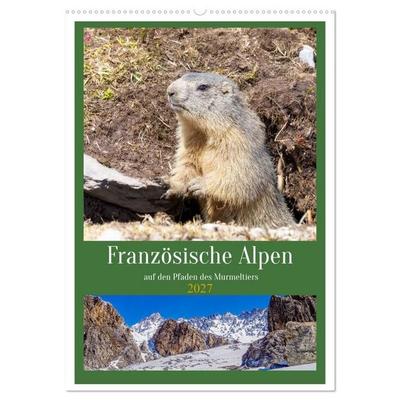 Französische Alpen, auf den Pfaden des Murmeltiers (Wandkalender 2027 DIN A2 hoch), CALVENDO Monatskalender