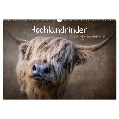 Hochlandrinder - Zottelige Schönheiten (Wandkalender 2026 DIN A3 quer), CALVENDO Monatskalender