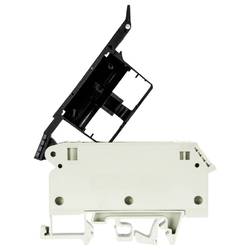 Wieland Electric 57.904.6355.0 Sicherungsklemme Schrauben Grau 50 St.