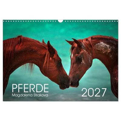 Pferde - Magdalena Strakova (Wandkalender 2027 DIN A3 quer), CALVENDO Monatskalender
