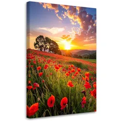 LEINWANDBILD Mohnfeld Blumen Sonnenuntergang 60x90cm