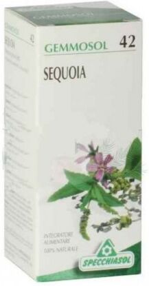 SPECCHIASOL Srl GEMMOSOL 42 SEQUOIA 50ML