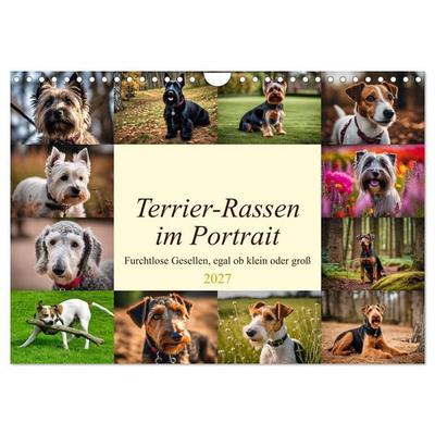 Terrier-Rassen im Portrait (Wandkalender 2027 DIN A4 quer), CALVENDO Monatskalender