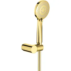 Neuesbad Serie 200 1-Punkt-Duschset, Gold NB1DENQAZ41K1