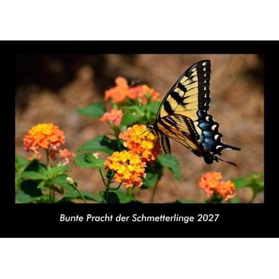 Bunte Pracht der Schmetterlinge 2027 Fotokalender DIN A3