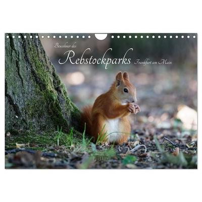 Bewohner des Rebstockparks Frankfurt am Main (Wandkalender 2027 DIN A4 quer), CALVENDO Monatskalender