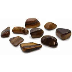 L Tumble Stones - Tiger Eye - Gold