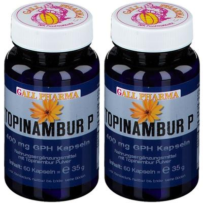 Topinambur P 400 mg GPH Kapseln 2x 2x60 St