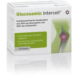 Glucosamin Intercell Kapseln 120 St