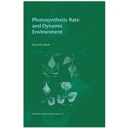Photosynthetic Rate and Dynamic Environment, Fachbücher von Kazutoshi Yabuki