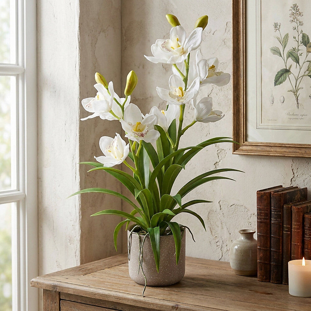 kaiserkraft Künstliche Orchidee Cymbidium, VE 2 Stk, Höhe 580 mm