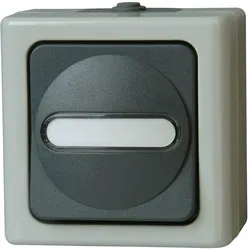 Kopp Blue Electric Aufputz Feuchtraum Taster Schliesser, Schalter + Taster, Grau