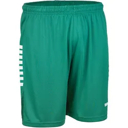 DERBYSTAR Madrid Trainingsshorts grün/weiß S
