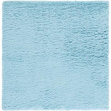 SAFAVIEH Indie Shag Hasna 2-inch Thick Rug