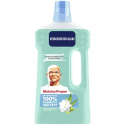 Meister Proper FRÜHLINGSERWACHEN Allzweckreiniger 1,00 l