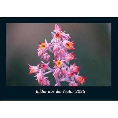 Bilder aus der Natur 2025 Fotokalender DIN A4