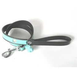 Martin Sellier Bowxy (25, Hund, Spazieren), Halsband + Leine