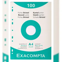 Exacompta 13606E Karteikarten A4 kariert weiss - Weiß