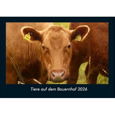 Tiere auf dem Bauernhof 2026 Fotokalender DIN A4