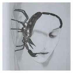 Nonesuch, Schallplatten, Touch (Tortoise)
